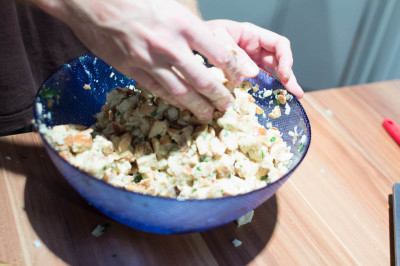 Lechwelle 2013-11-03 Brustkern 05-2